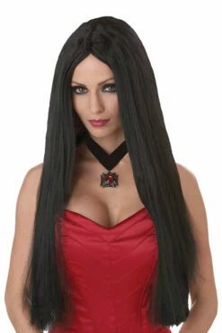 Long Flowing Costume Wig - Black