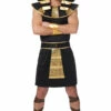 Egyptian Pharaoh Adult Costume -Fantasy Fits Sales FR49786 full 1