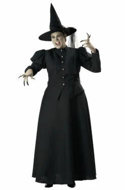 Wretched Witch Plus Size Costume